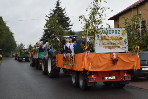 Zdjęcie - 