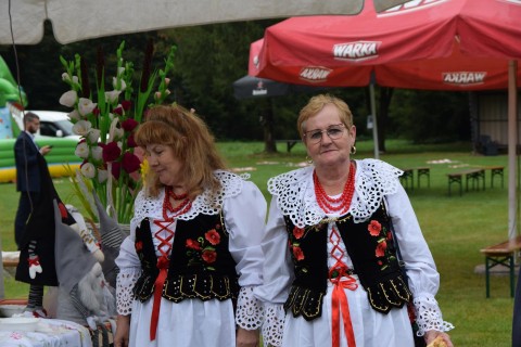 Zdjęcie - 