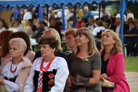 Zdjęcie - 
